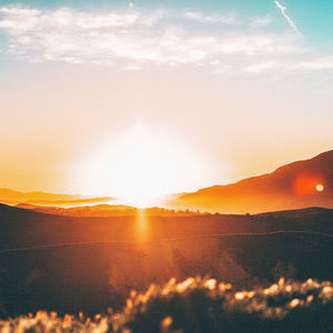 Meet your Posher, Marley